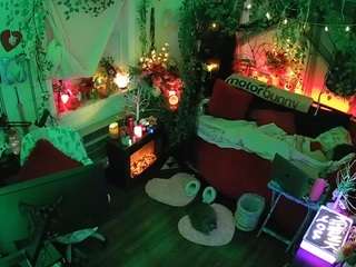 voyeurcam veccasalt 01